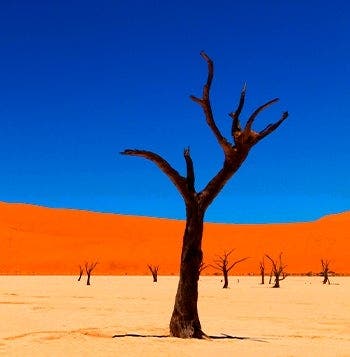 Safari, Dunes de sable et Monts Nauklu