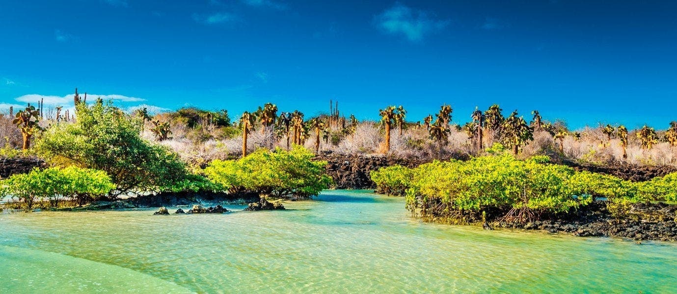 Découverte tropicale aux îles Galápagos