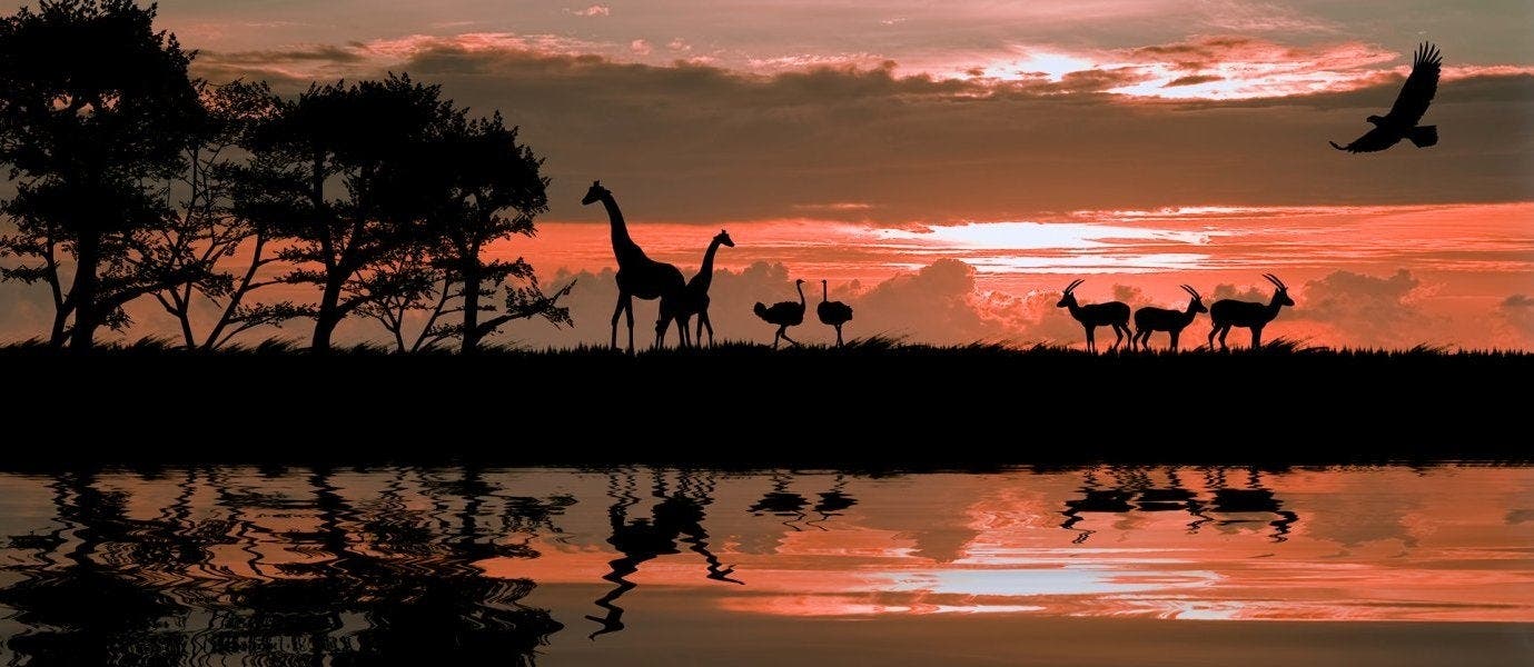 Luxe et Aventure au Kenya
