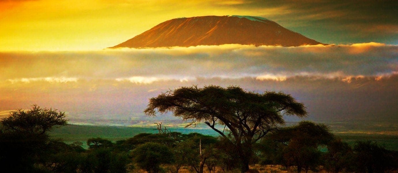 Africa: From South to North