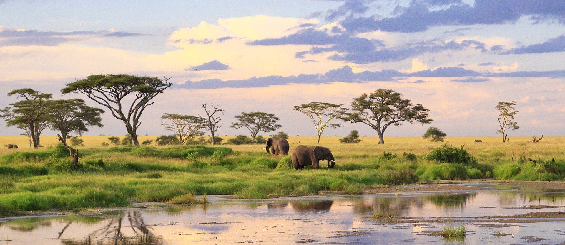 Serengeti, Ngorongoro & Tarangire Safari