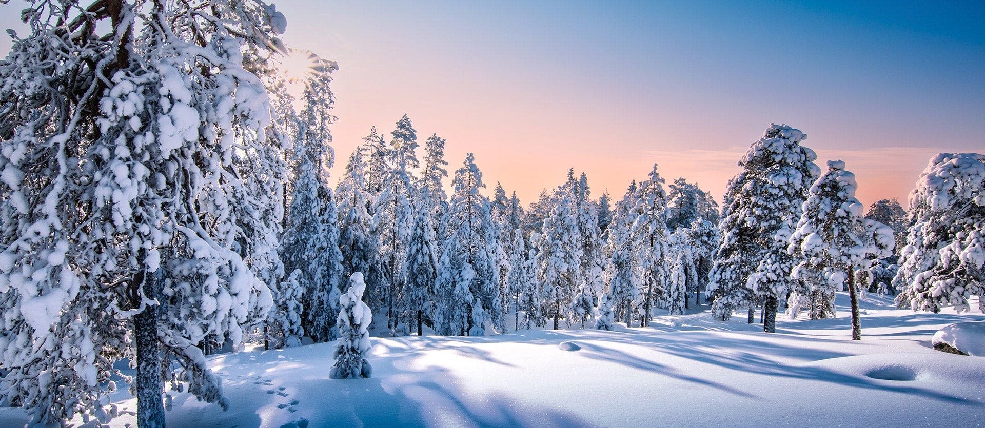 Arctic Magic: Winter Adventure in Lapland