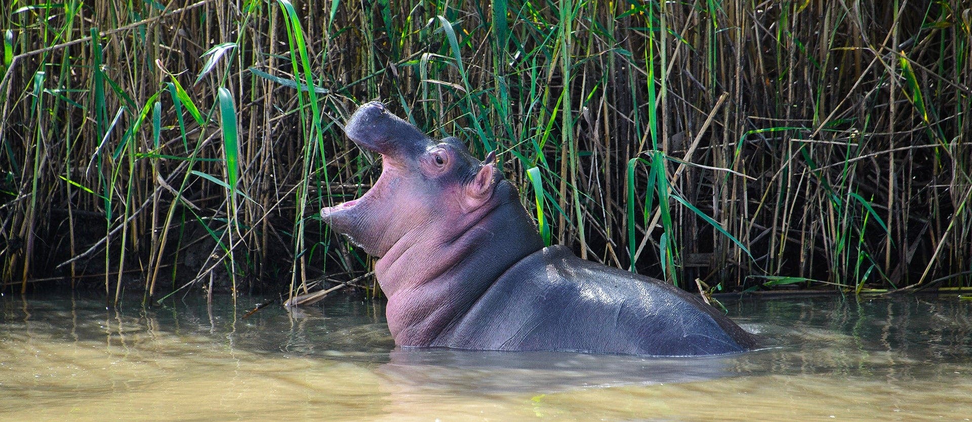 Kruger Safari & Zulu Heritage