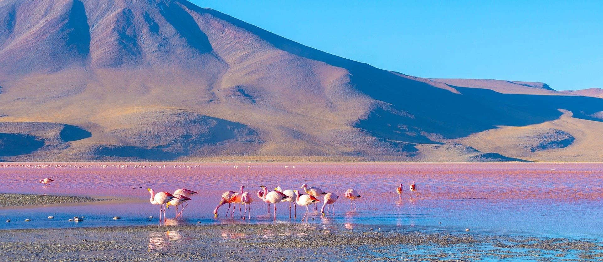 Landscapes & Cultures of South America