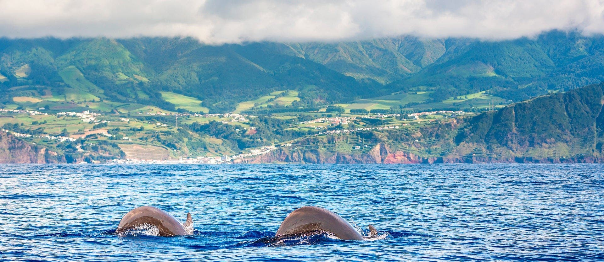 Enchanting Atlantic Archipelago 
