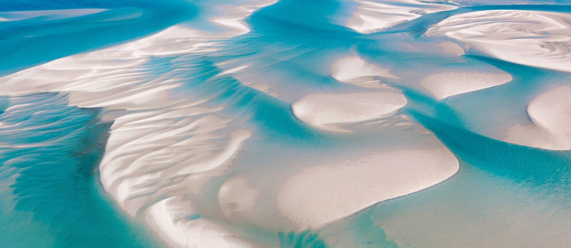 Kruger's Wildlife & Mozambique’s Beaches