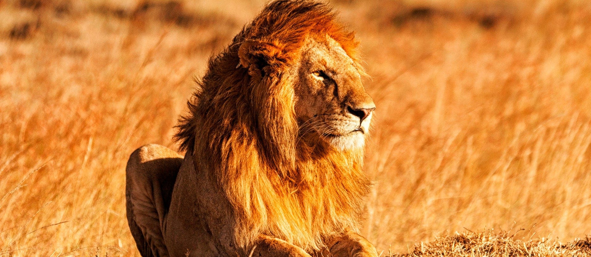 Nairobi, Wildlife Safari & Nyahururu