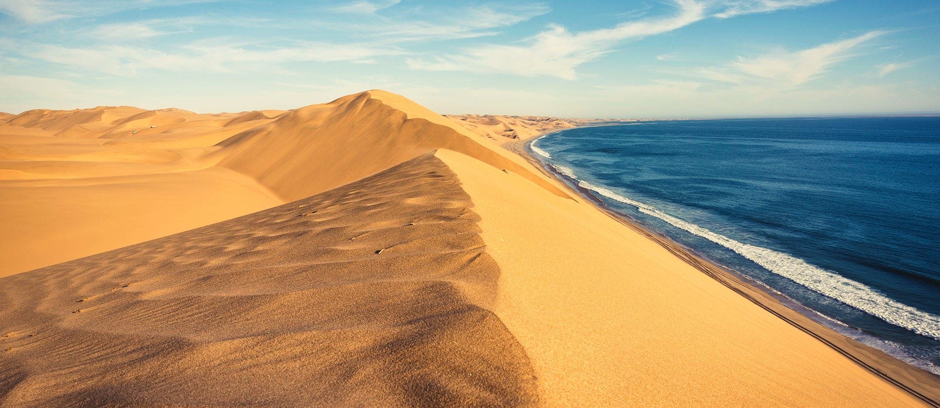 Essence of Namibia: Dunes & Skeleton Trees