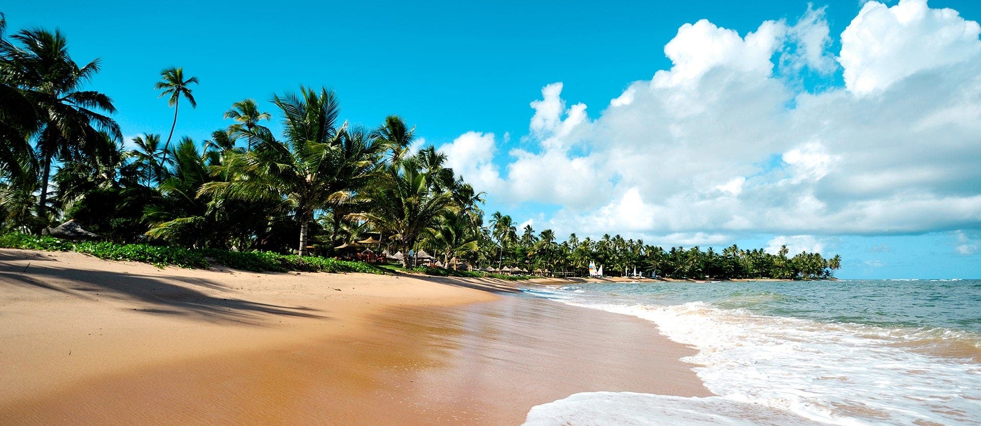 Sprawling Cities & Golden Beaches