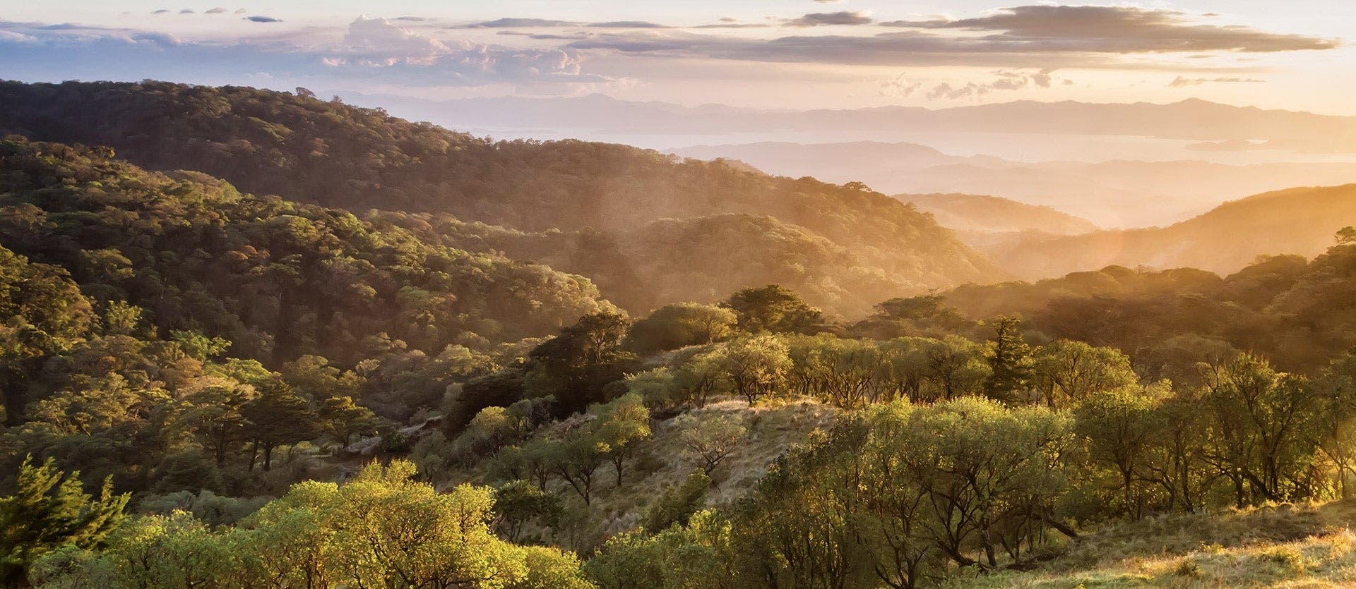 Monteverde Cloud Forest & Playa Hermosa
