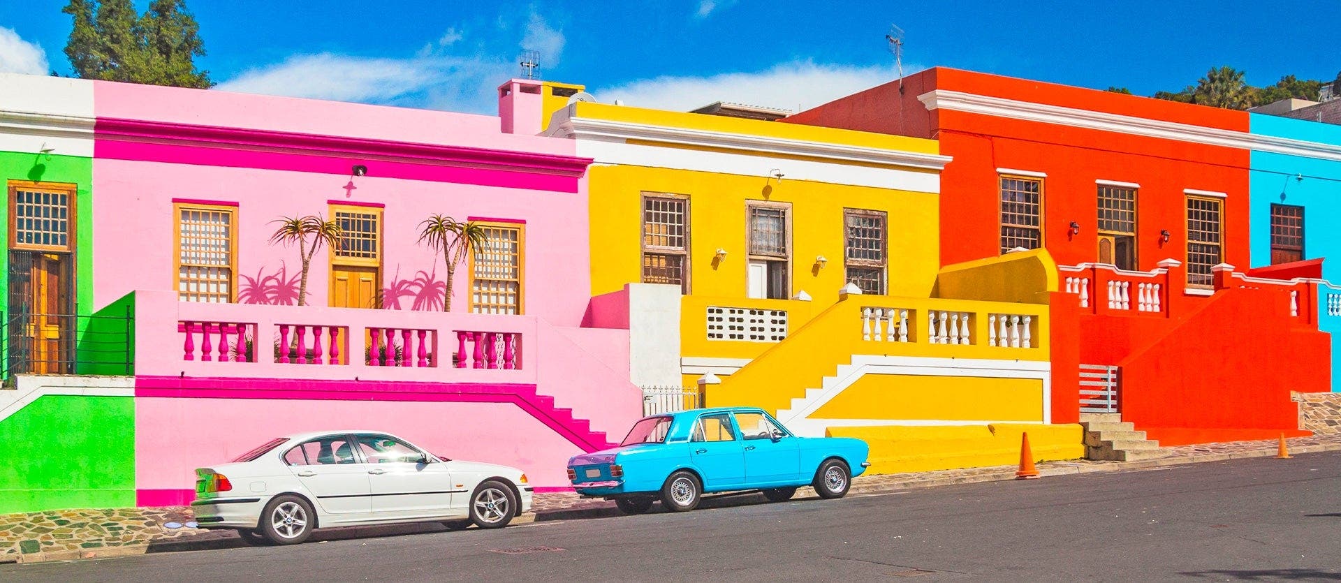 Safaris, Cape & Garden Route