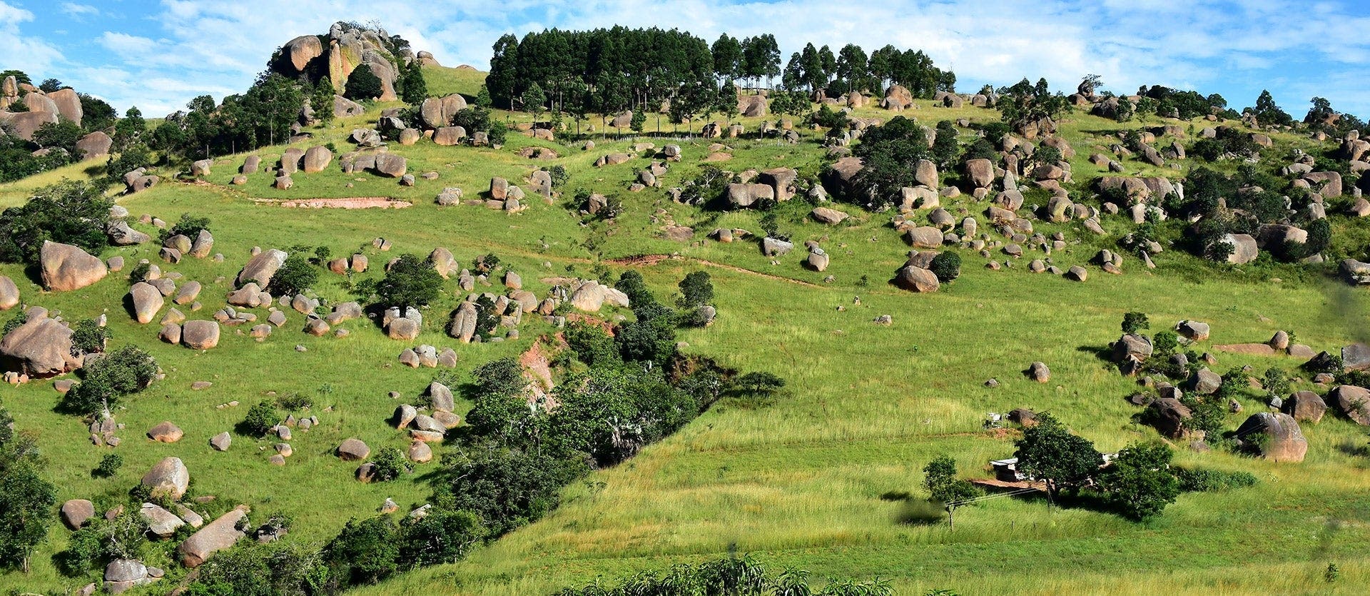 South Africa 360: The Grand Tour