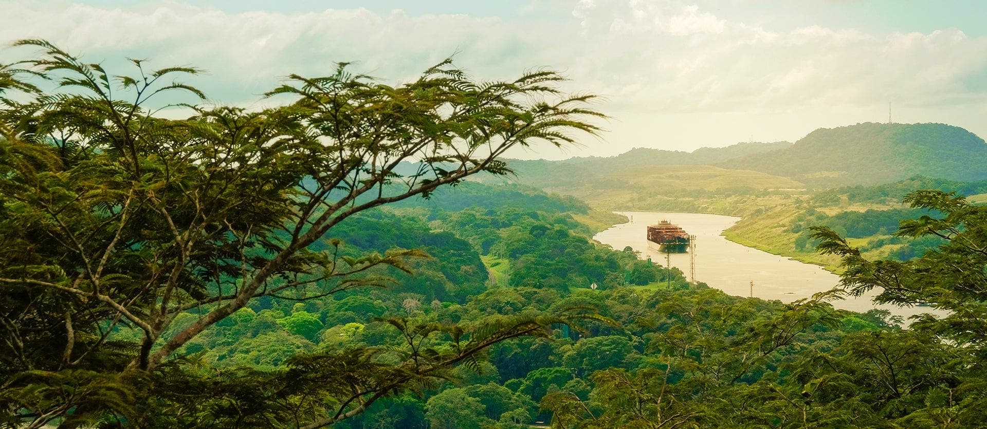 Panama City & Gamboa rainforest