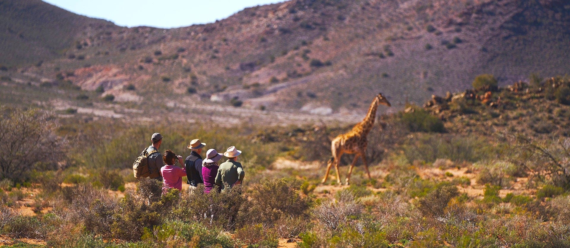 From Table Mountain to the Big Five Safari