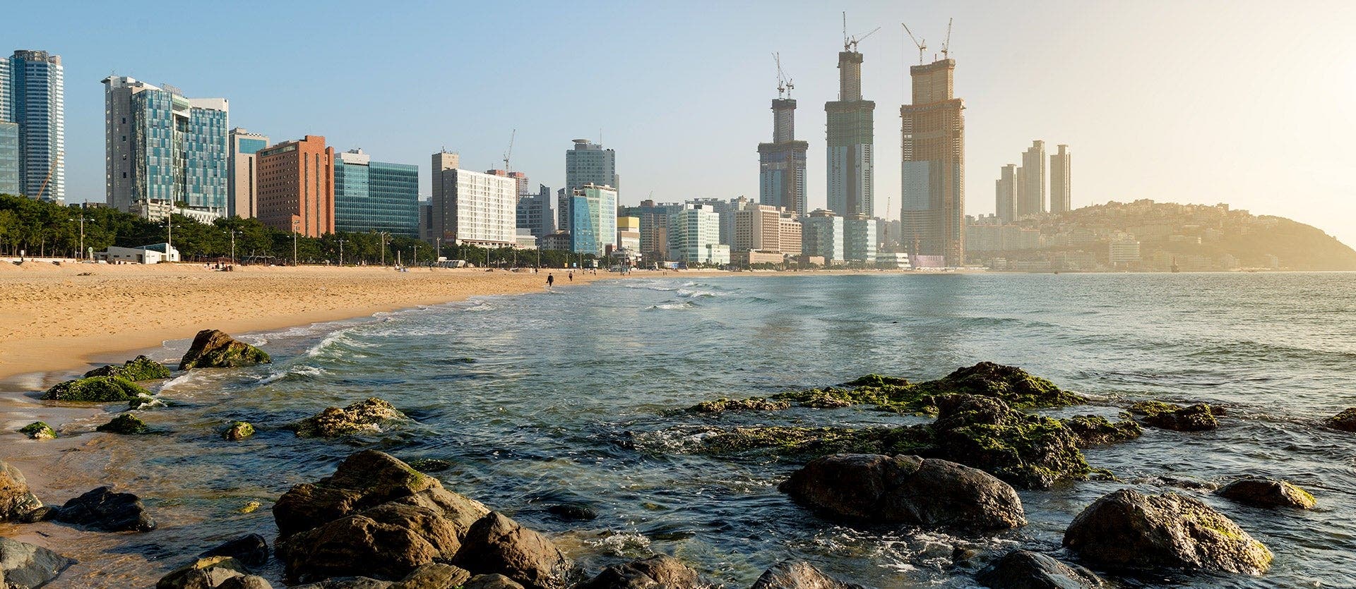 Korea & Tokyo: Culture & modernity