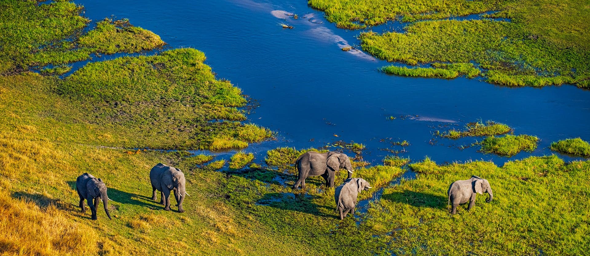 Moremi & Okavango Safari Adventure