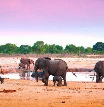 Luxury African Adventures