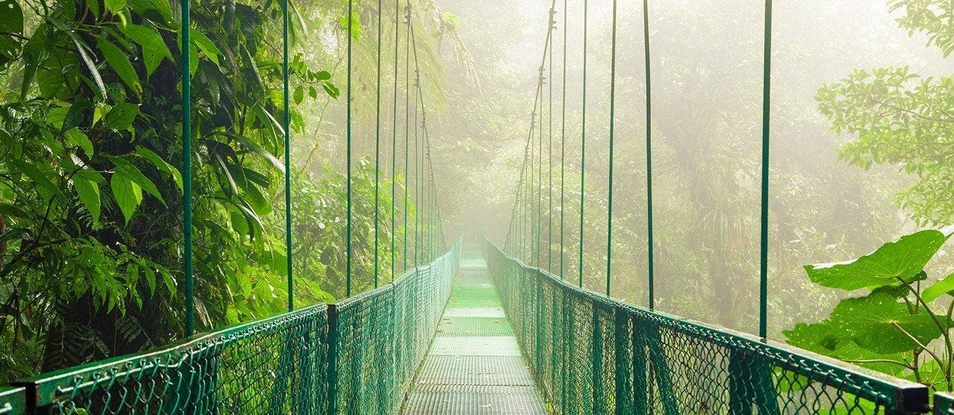 Tropical Rainforests & Beach Escape