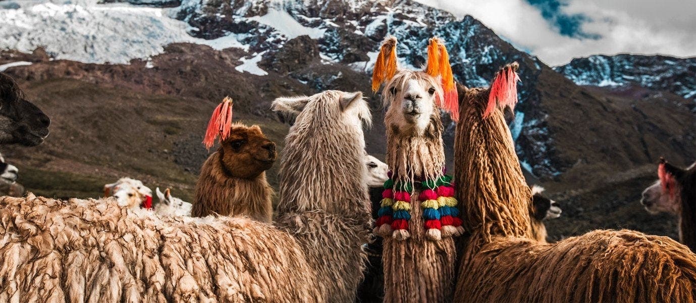 Off the Map: Inca Lands & Real Amazon