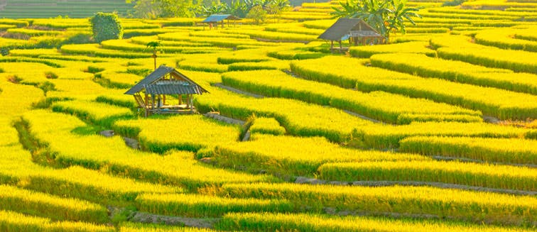 Food in Philippines