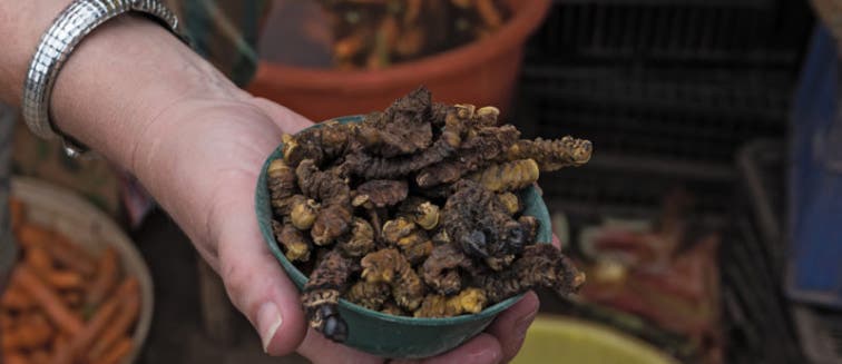 Qué comer en  Zimbabue