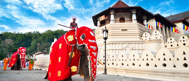 Fiestas populares en  Sri Lanka