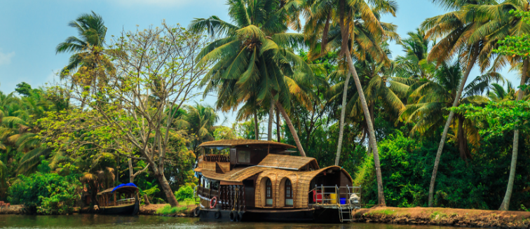 Qué ver en India Alleppey