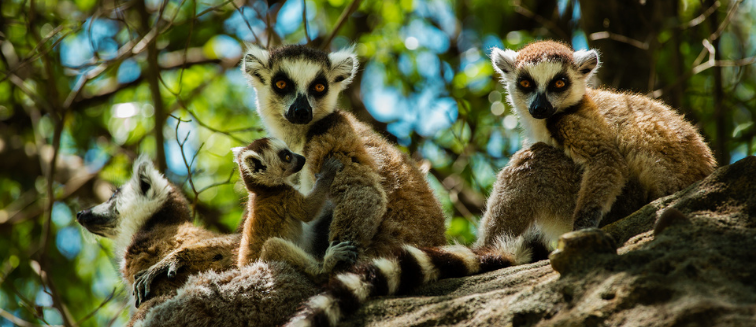 What to see in Madagascar Ambalavao