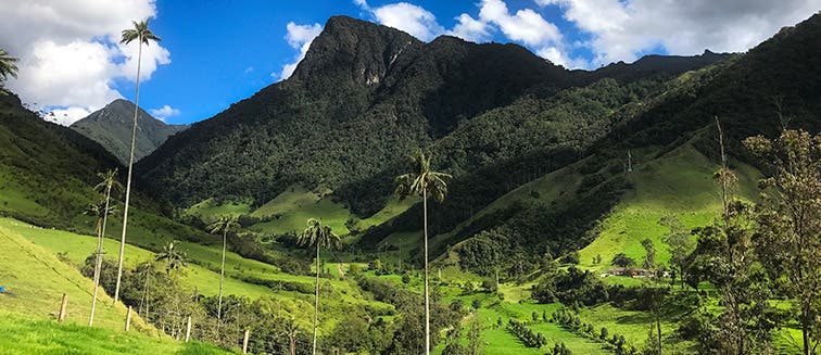 What to see in Colombia Armenia