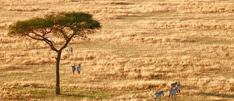 What to see in Tanzania Arusha