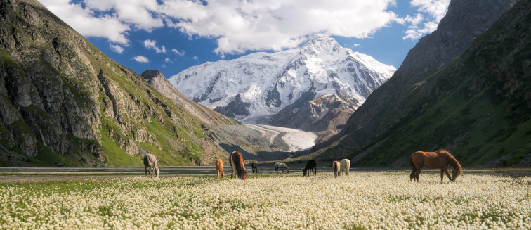 What to see in Kyrgyzstan Barskoon Canyon