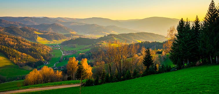 What to see in Germany Black Forest