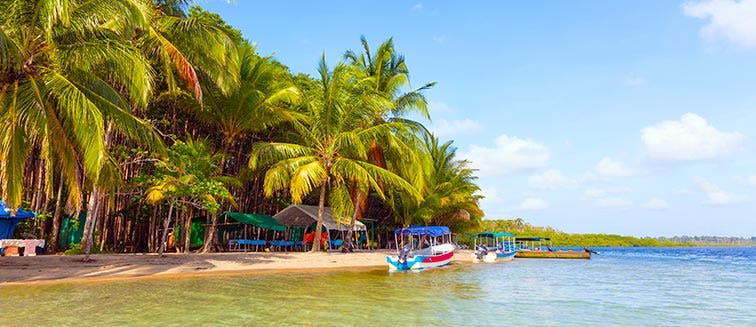 Qué ver en Panamá Bocas del toro