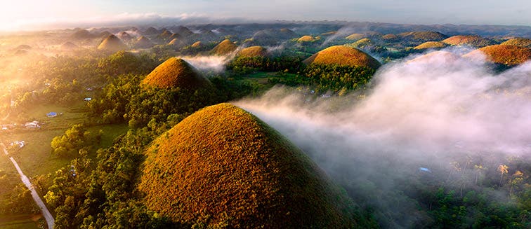 What to see in Philippines Bohol