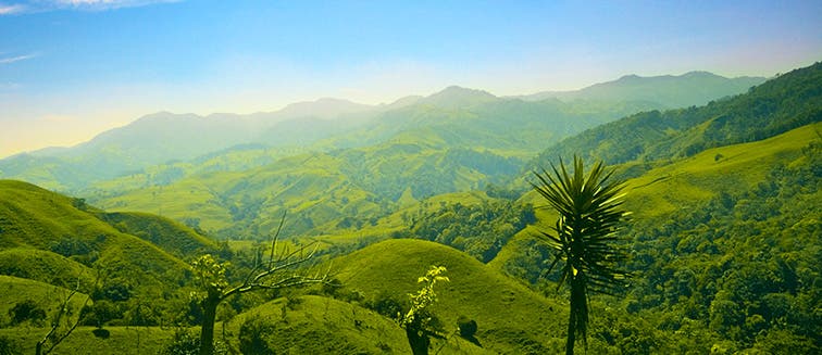 What to see in Costa Rica Braulio Carrillo National Park