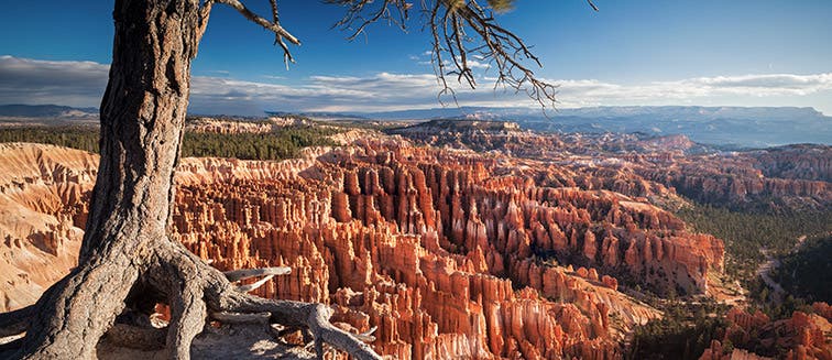 Sehenswertes in Vereinigte Staaten Bryce Canyon National Park 