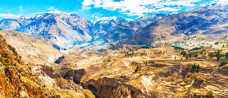 What to see in Pérou Canyon de Colca