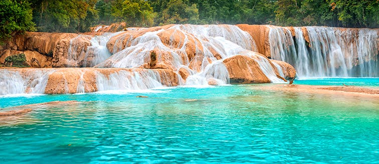 What to see in Mexique Les cascades d’Agua Azul