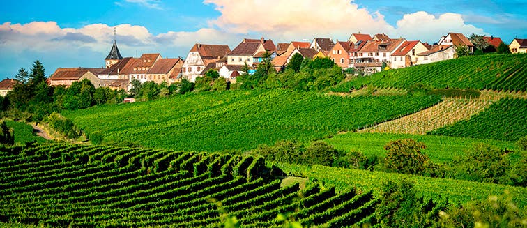 What to see in France Champagne Wine Region