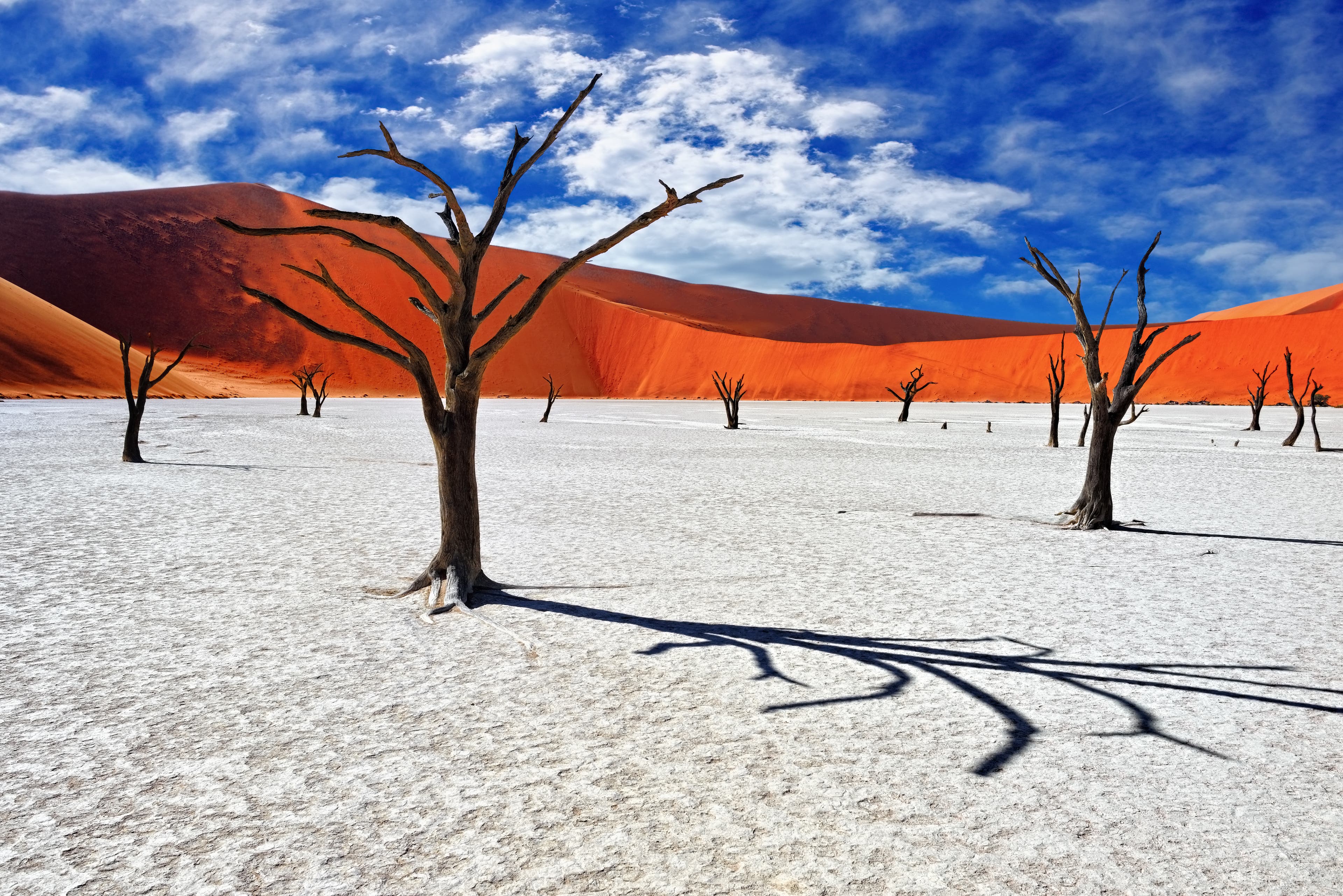 What to see in Namibia Deadvlei