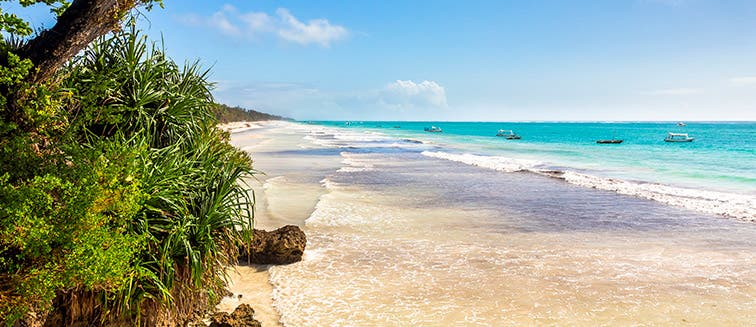 Qué ver en Kenia Diani