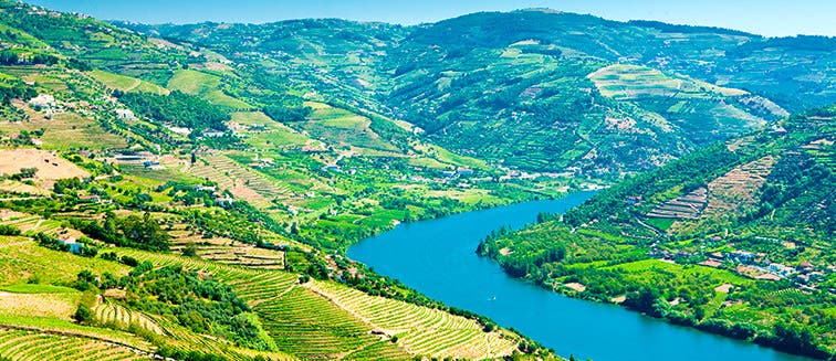 What to see in Portugal Douro Valley