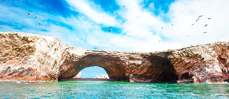 What to see in Pérou Îles Ballestas