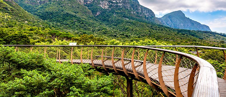 Qué ver en Sudáfrica Jardín Botánico de Kirstenbosch