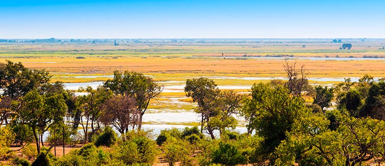 What to see in Botswana Kasane