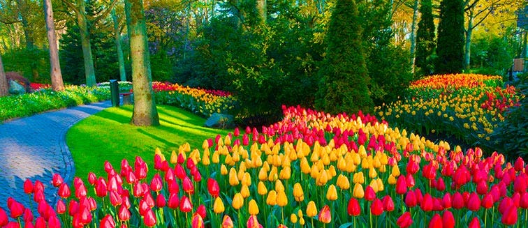 What to see in Pays-Bas Keukenhof