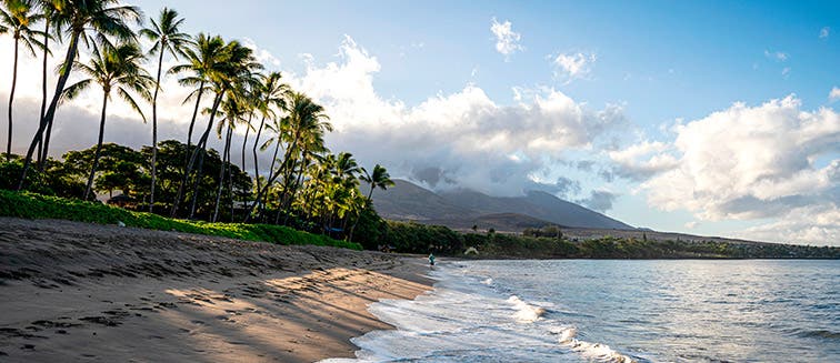 Qué ver en Estados Unidos Lahaina (Maui)