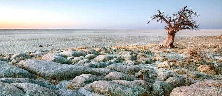 What to see in Botswana Makgadikgadi Pans