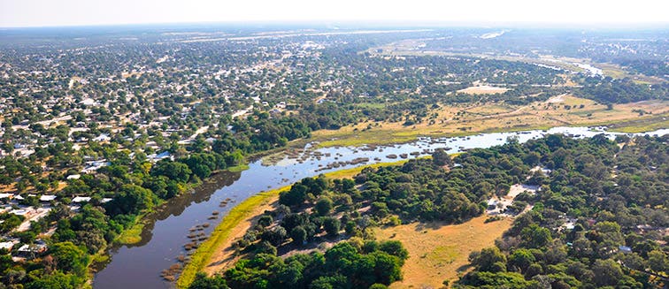 What to see in Botswana Maun