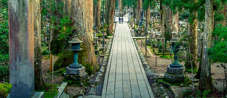 Qué ver en Japón Monte Koya